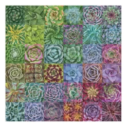 Troy Litten Succulent Spectrum 500 Piece Jigsaw Puzzle