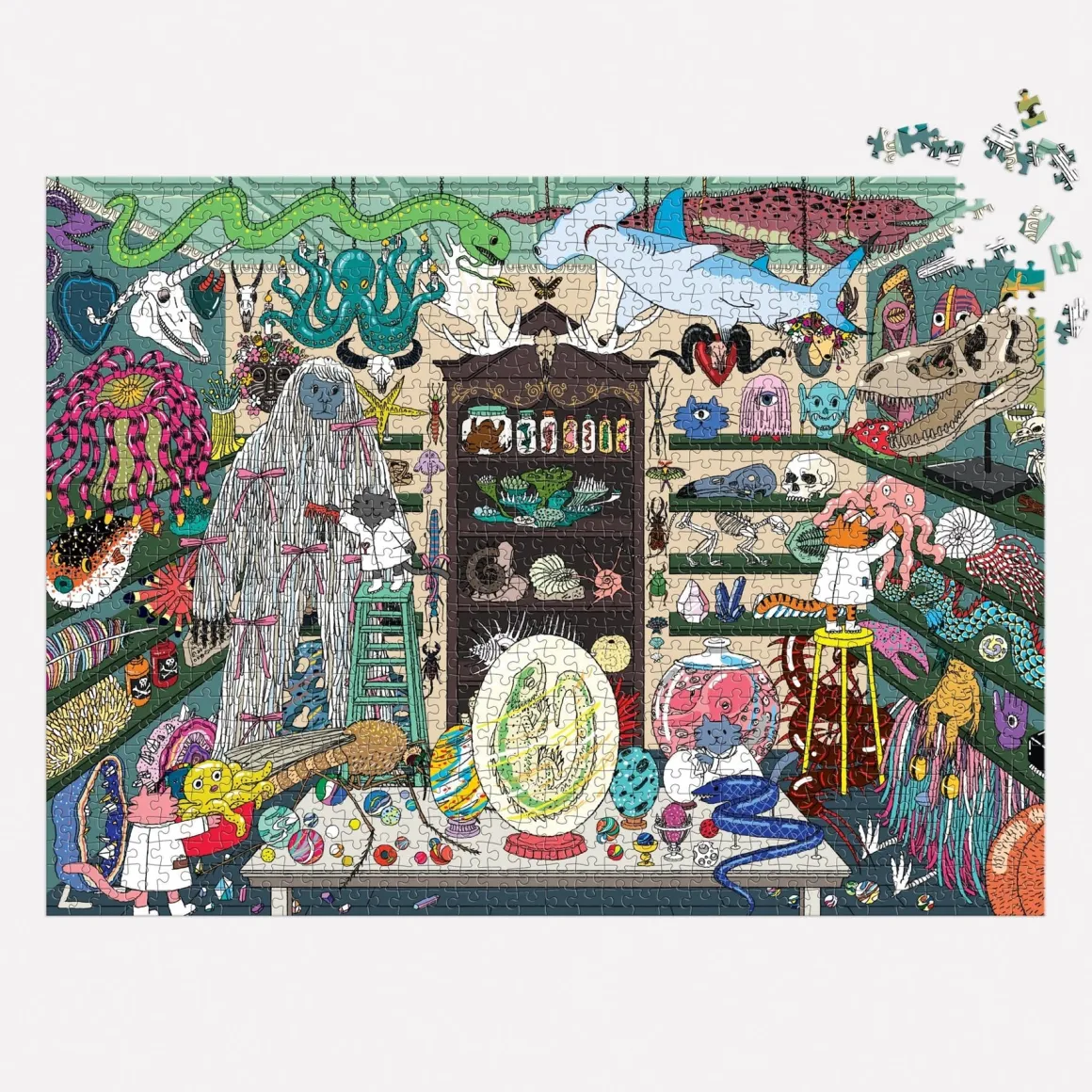 World of Curiosities 1000 Piece Puzzle