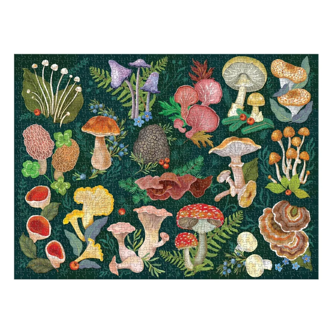 World of Mushrooms 1000 Piece Puzzle