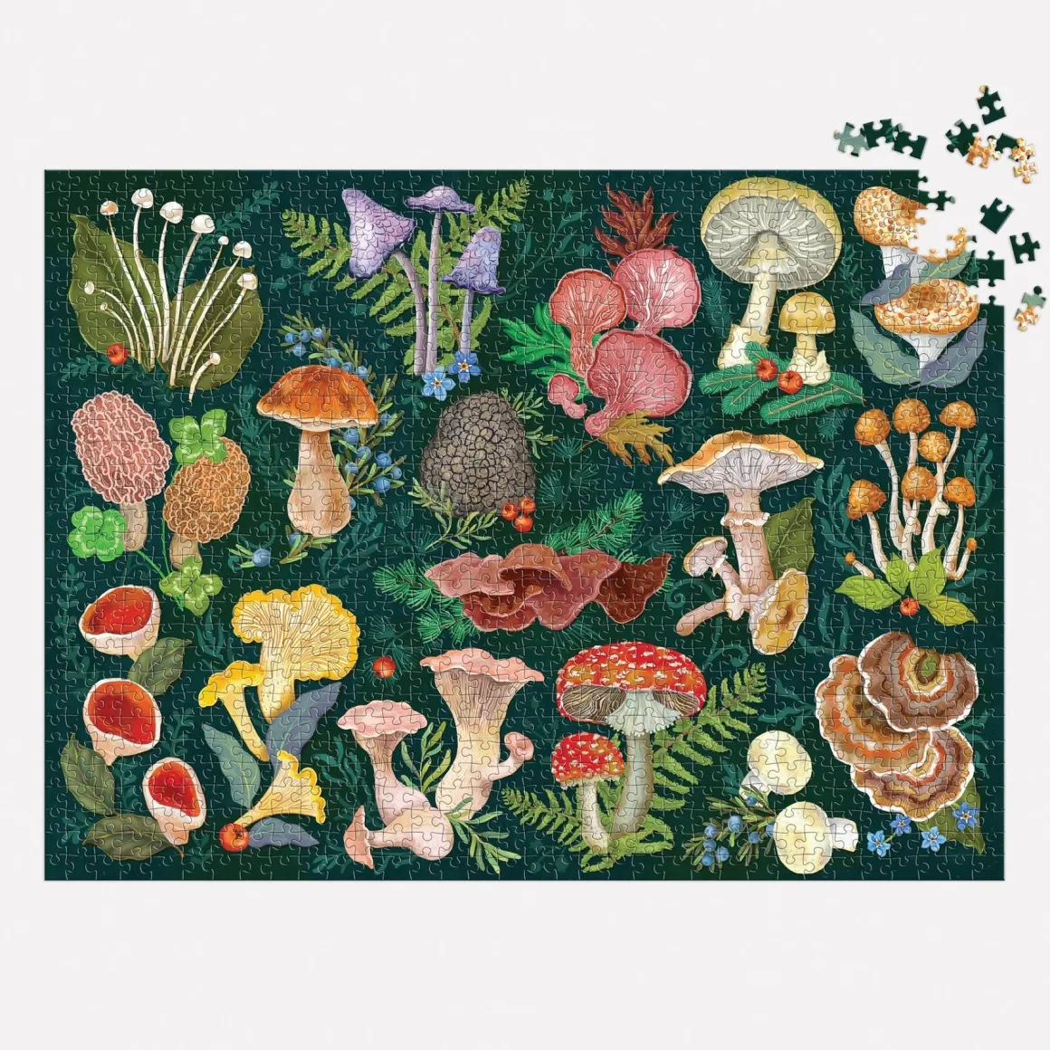 World of Mushrooms 1000 Piece Puzzle
