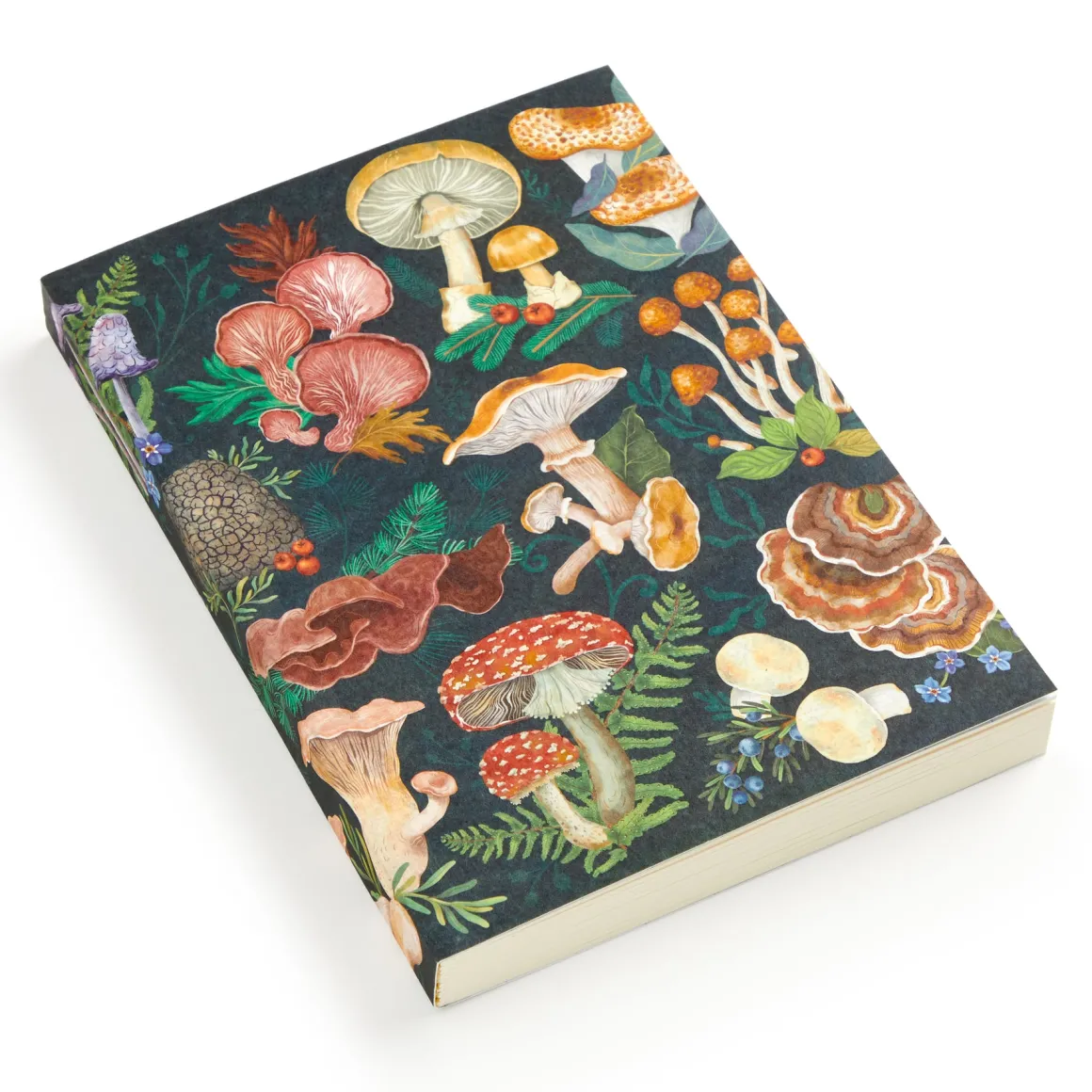 World of Mushrooms Premium A5 Notebook