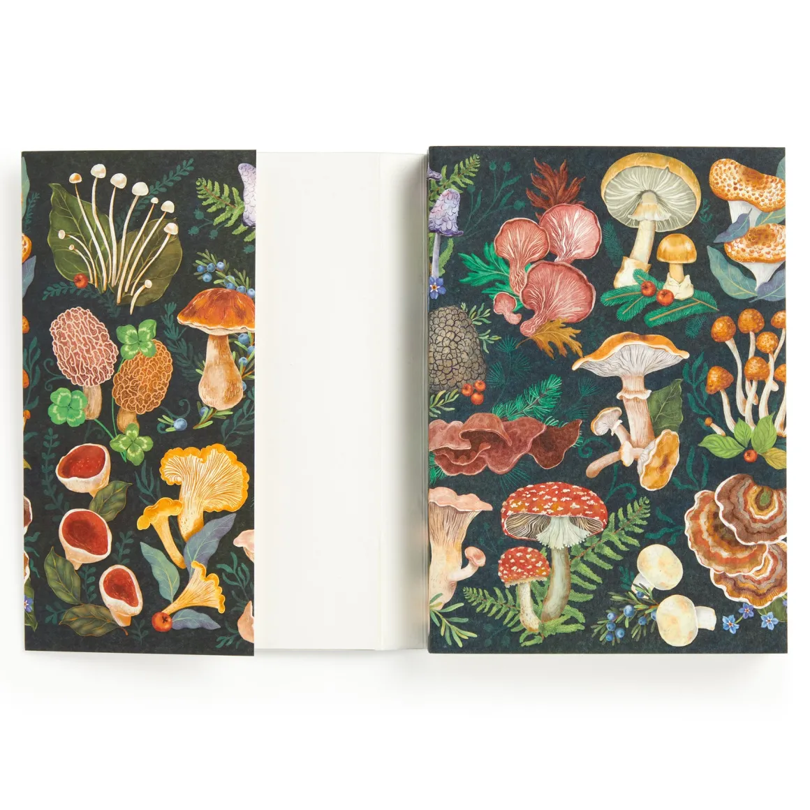 World of Mushrooms Premium A5 Notebook