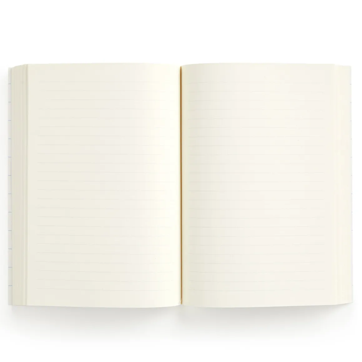 World of Mushrooms Premium A5 Notebook